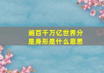 遍百千万亿世界分是身形是什么意思