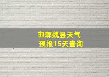 邯郸魏县天气预报15天查询