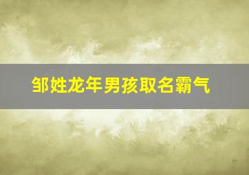 邹姓龙年男孩取名霸气