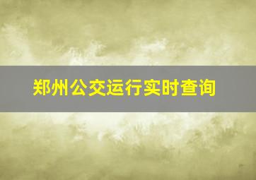 郑州公交运行实时查询