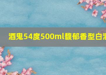 酒鬼54度500ml馥郁香型白酒