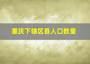 重庆下辖区县人口数量