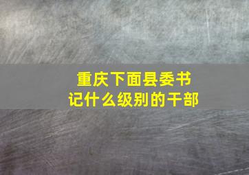 重庆下面县委书记什么级别的干部