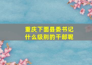 重庆下面县委书记什么级别的干部呢