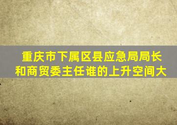 重庆市下属区县应急局局长和商贸委主任谁的上升空间大