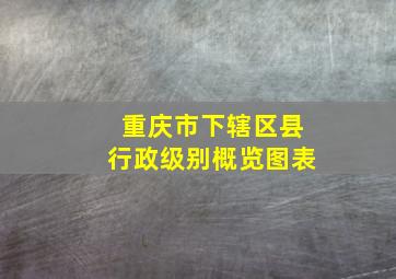 重庆市下辖区县行政级别概览图表