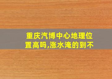 重庆汽博中心地理位置高吗,涨水淹的到不