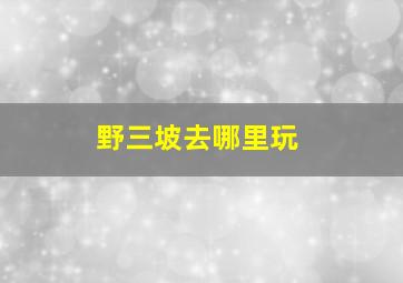 野三坡去哪里玩