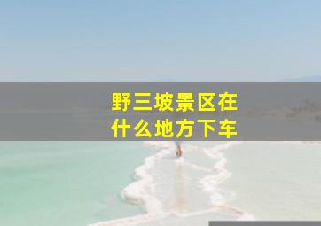 野三坡景区在什么地方下车