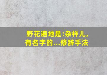 野花遍地是:杂样儿,有名字的...修辞手法