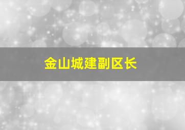 金山城建副区长