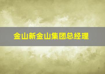 金山新金山集团总经理