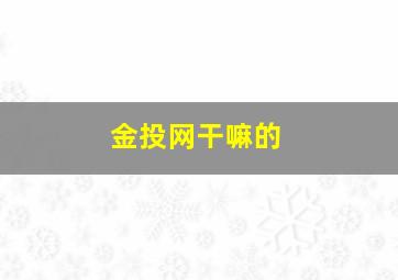 金投网干嘛的