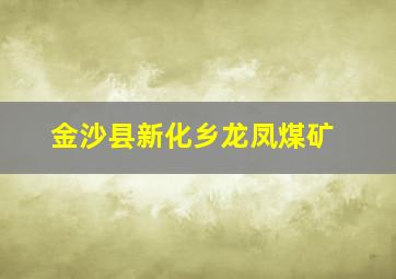 金沙县新化乡龙凤煤矿