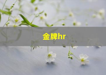 金牌hr