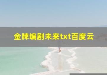 金牌编剧未来txt百度云