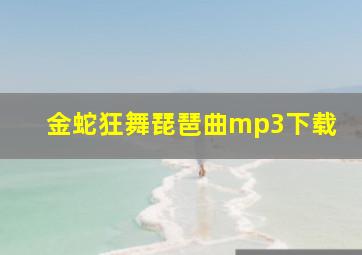 金蛇狂舞琵琶曲mp3下载