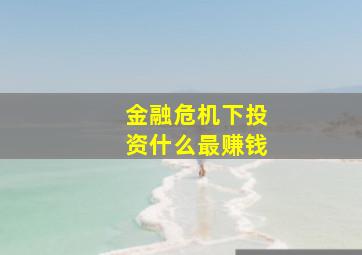 金融危机下投资什么最赚钱