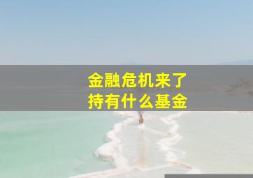 金融危机来了持有什么基金