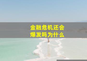 金融危机还会爆发吗为什么