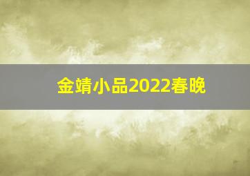 金靖小品2022春晚