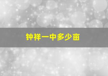 钟祥一中多少亩