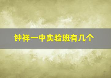 钟祥一中实验班有几个