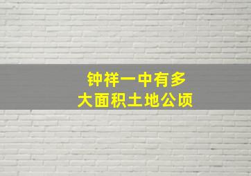 钟祥一中有多大面积土地公顷