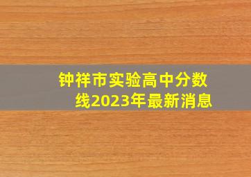 钟祥市实验高中分数线2023年最新消息