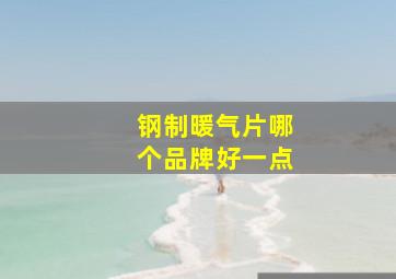 钢制暖气片哪个品牌好一点