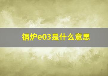 锅炉e03是什么意思