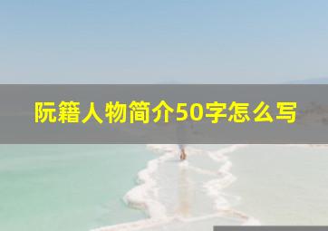 阮籍人物简介50字怎么写