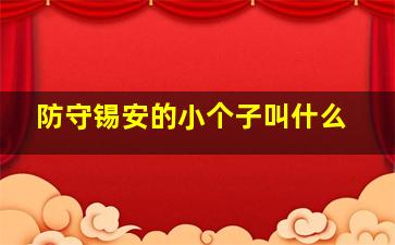 防守锡安的小个子叫什么