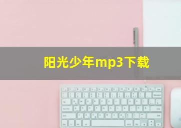 阳光少年mp3下载