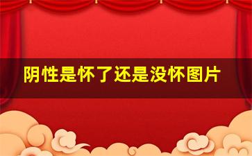 阴性是怀了还是没怀图片