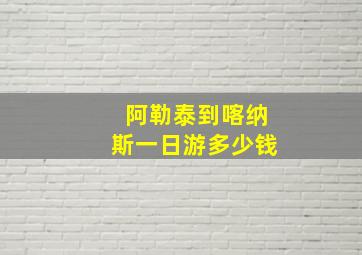 阿勒泰到喀纳斯一日游多少钱