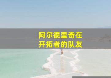 阿尔德里奇在开拓者的队友