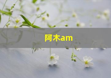 阿木am