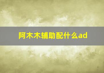 阿木木辅助配什么ad