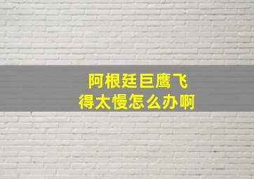 阿根廷巨鹰飞得太慢怎么办啊