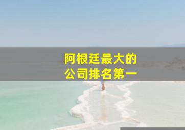 阿根廷最大的公司排名第一