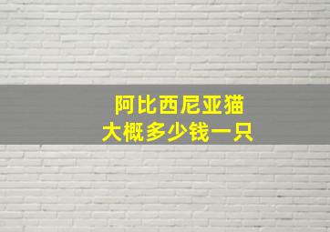 阿比西尼亚猫大概多少钱一只