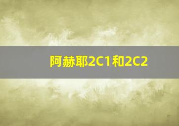 阿赫耶2C1和2C2