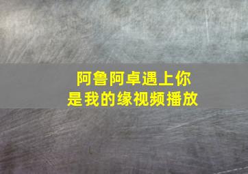 阿鲁阿卓遇上你是我的缘视频播放