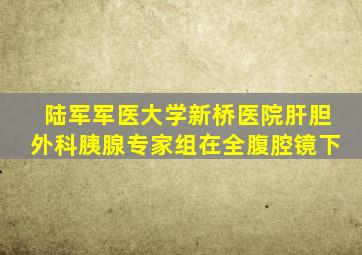 陆军军医大学新桥医院肝胆外科胰腺专家组在全腹腔镜下