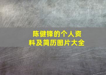 陈健锋的个人资料及简历图片大全