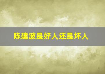 陈建波是好人还是坏人