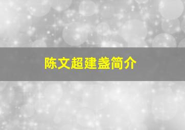 陈文超建盏简介