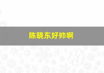 陈晓东好帅啊