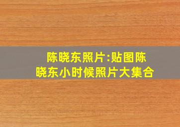 陈晓东照片:贴图陈晓东小时候照片大集合